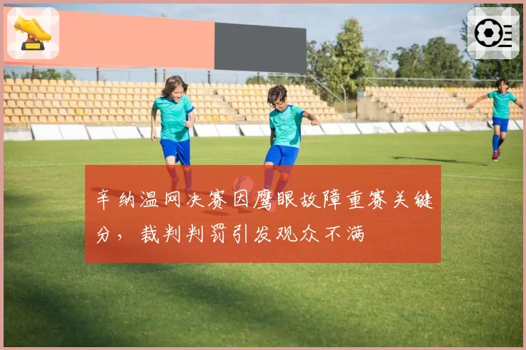 辛纳温网决赛因鹰眼故障重赛关键分,裁判判罚引发观众不满
