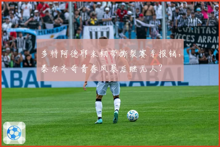 多特阿德耶米韧带撕裂赛季报销，泰尔齐奇青春风暴后继无人？