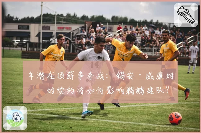 年潜在顶薪争夺战：锡安·威廉姆森的续约将如何影响鹈鹕建队？