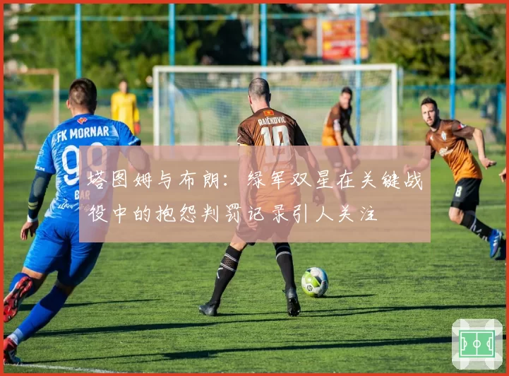 塔图姆与布朗：绿军双星在关键战役中的抱怨判罚记录引人关注